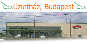 Üzletház Budapest